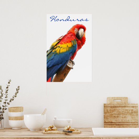 Honduras Scarlet Macaw Poster (Keuken)