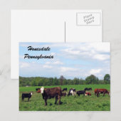 Honesdale Pennsylvania Briefkaart (Voorkant / Achterkant)