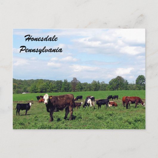 Honesdale Pennsylvania Briefkaart (Voorkant)