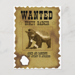 Honey Badger Gezocht Poster Briefkaart