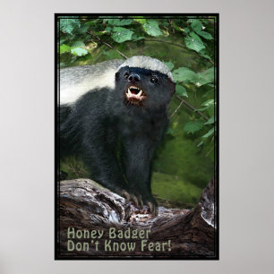 Honey Badger V2 Poster -40x60 -Andere maten ook
