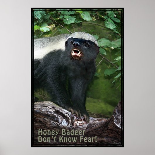 Honey Badger V2 Poster -40x60 -Andere maten ook (Voorkant)