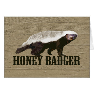 Honey Badger Wild Animal