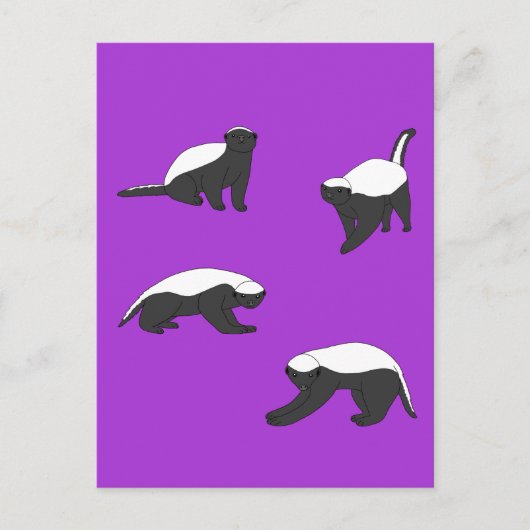 Honey Badgers Briefkaart (Voorkant)