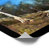 Honey Bandits Poster (Hoek)