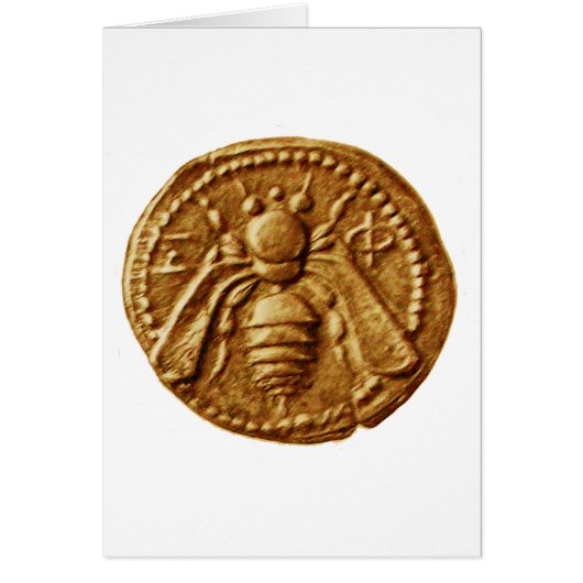 HONEY BEE (Voorkant)