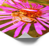 Honey Bee Aster Flower Distressed Art Poster (Hoek)
