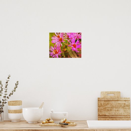 Honey Bee Aster Flower Distressed Art Poster (Keuken)