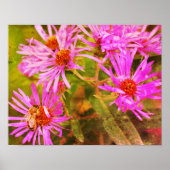 Honey Bee Aster Flower Distressed Art Poster (Voorkant)