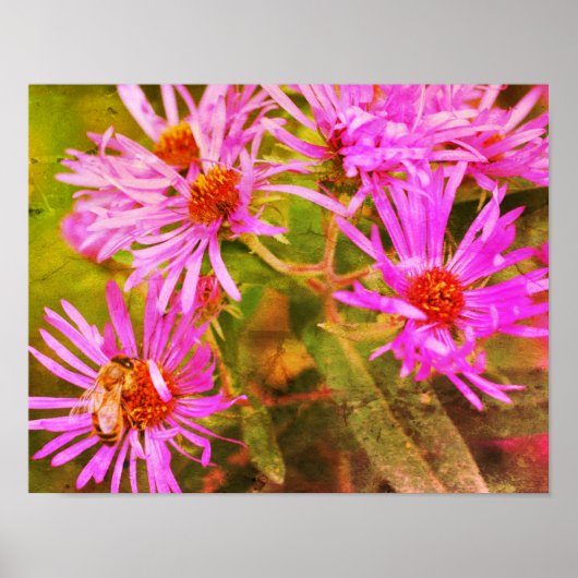 Honey Bee Aster Flower Distressed Art Poster (Voorkant)