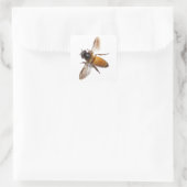 Honey Bee Cute Vierkante Sticker (Tas)