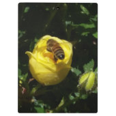 Honey Bee en Yellow Rose Tweezijdig Klembord (Achterkant)