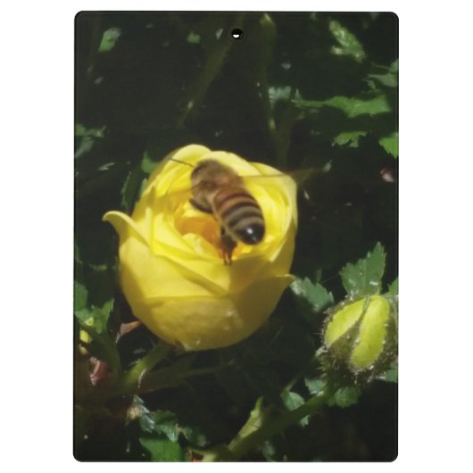 Honey Bee en Yellow Rose Tweezijdig Klembord (Achterkant)