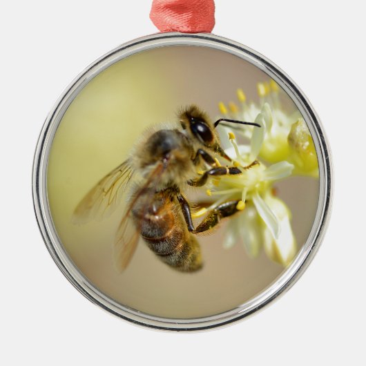 Honey bee feeding on flower metalen ornament (Voorkant)