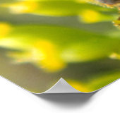 Honey bee feeding on flower poster (Hoek)