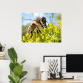 Honey bee feeding on flower poster (Thuiskantoor)