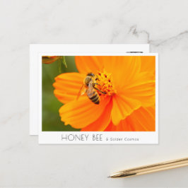 Honey Bee & Golden Cosmos Briefkaart