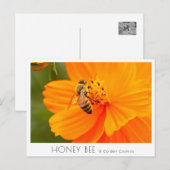 Honey Bee & Golden Cosmos Briefkaart (Voorkant / Achterkant)