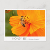 Honey Bee & Golden Cosmos Briefkaart (Voorkant)