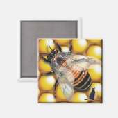 Honey Bee Magnet (Voorkant / Achterkant)