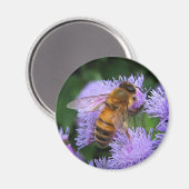 Honey Bee Magnet (Voorkant / Achterkant)