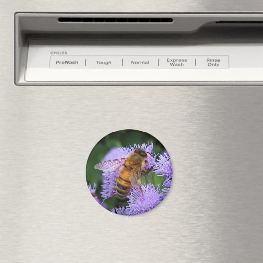 Honey Bee Magnet (Insitu (Vaatwasser))