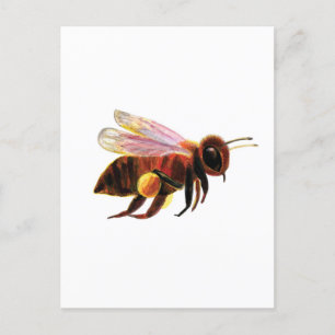 Honey Bee met zijn Pollen Manden Briefkaart