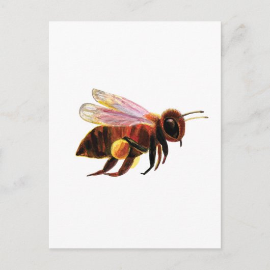 Honey Bee met zijn Pollen Manden Briefkaart (Voorkant)