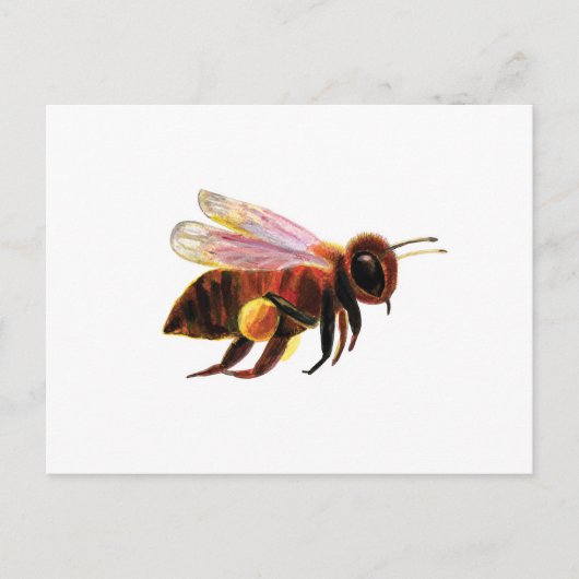 Honey Bee met zijn Pollen Manden Illustratie Feestdagenkaart (Voorkant)