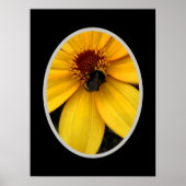 Honey bee ON A YELLOW BLOOM Poster (Voorkant)