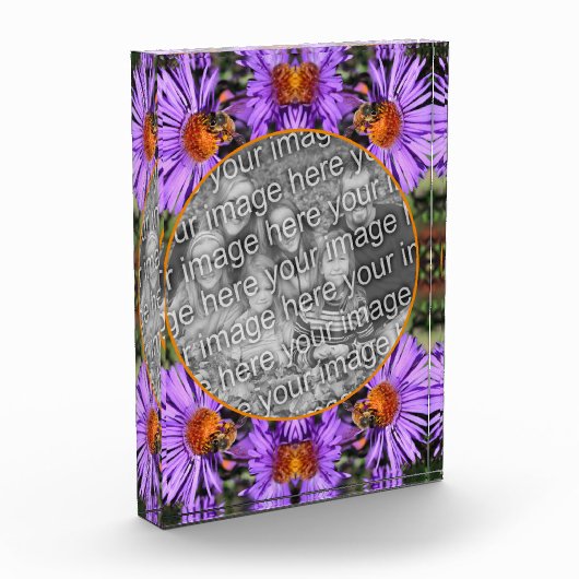 Honey Bee On Aster Flower Voeg uw Fotoblokken (Links)