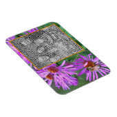 Honey Bee on Pink Aster Flower Uw foto toevoegen Magneet (Rechterzijde)