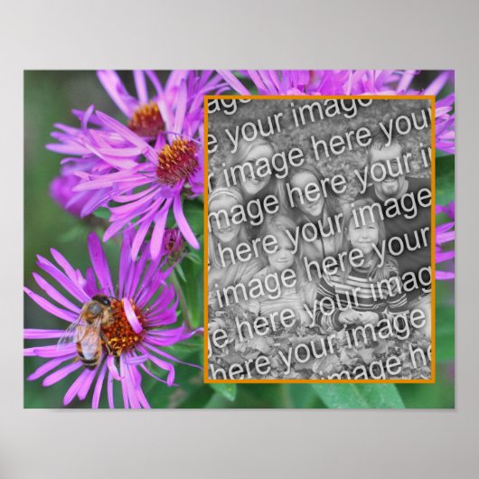 Honey Bee on Pink Aster Flower Uw foto toevoegen Poster (Voorkant)