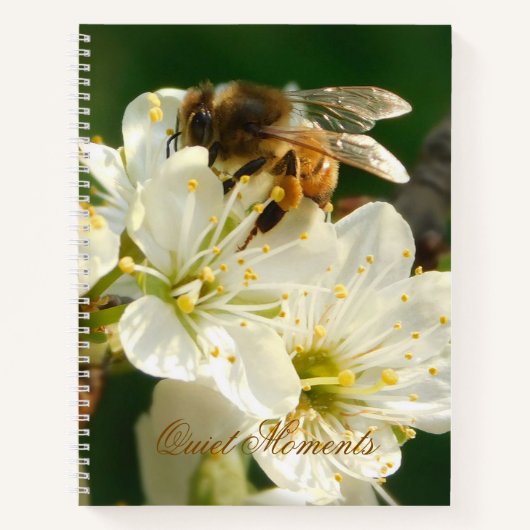 Honey Bee on White Plum Blossom Journal Notitieboek (Voorkant)
