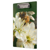 Honey Bee Plum Blossom Nature Study Clipboard Klembord (Links)