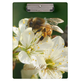 Honey Bee Plum Blossom Nature Study Clipboard Klembord