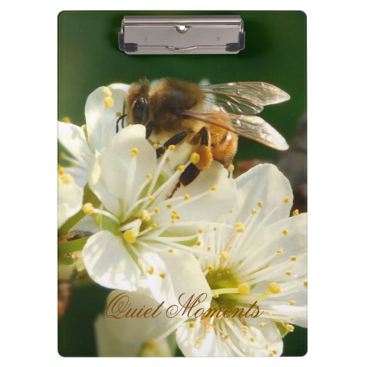 Honey Bee Plum Blossom Nature Study Clipboard Klembord (Voorkant)