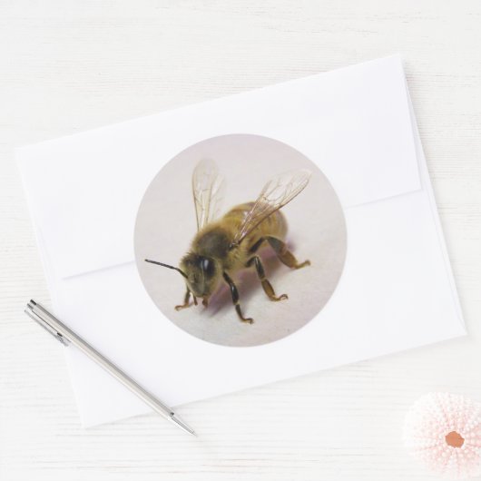 Honey Bee Sticker (Envelop)
