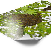 Honey Bee Swarm Foto Afdruk (Hoek)