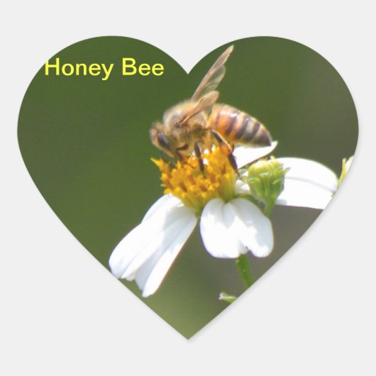 Honey Bee wit Daisy flower Hart Sticker (Voorkant)