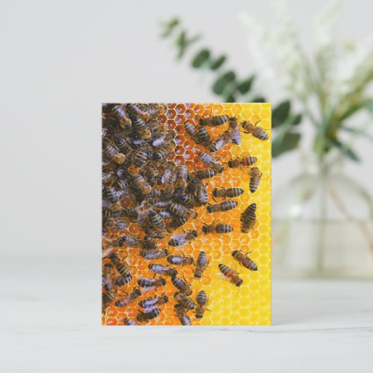 HONEY BEES BRIEFKAART (Staand voorkant)