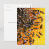 HONEY BEES BRIEFKAART (Voorkant / Achterkant)