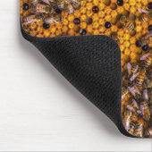 HONEY BEES MUISMAT (Hoek)