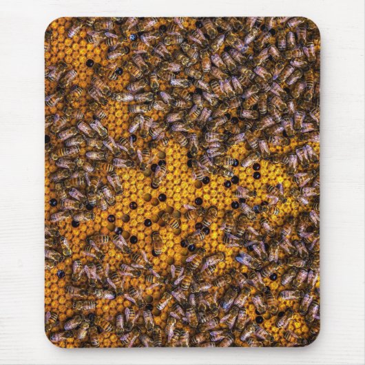 HONEY BEES MUISMAT (Voorkant)