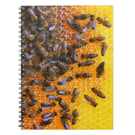 HONEY BEES NOTITIEBOEK (Voorkant)