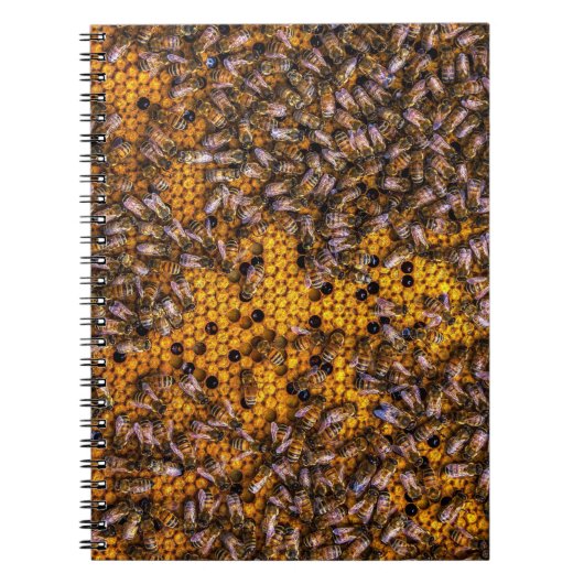 HONEY BEES NOTITIEBOEK (Voorkant)