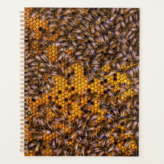 HONEY BEES PLANNER (Voorkant)