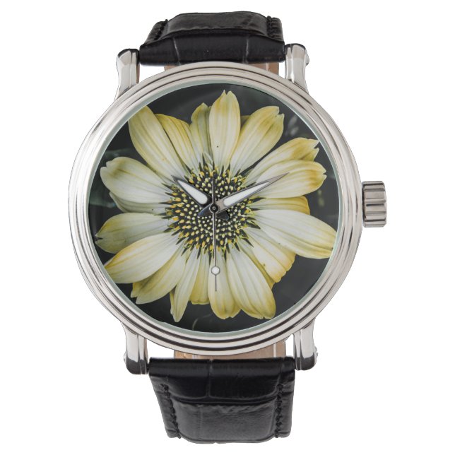 Honey Blossom Yellow Coneflower Horloge (Voorkant)