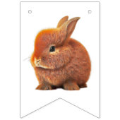 Honey Bunny en Boo Beer Vlaggetjes (Tweede vlag)