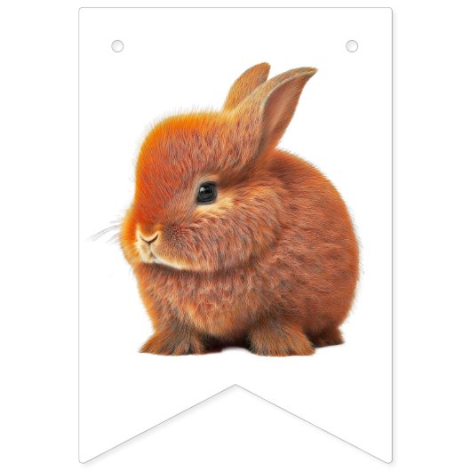 Honey Bunny en Boo Beer Vlaggetjes (Tweede vlag)